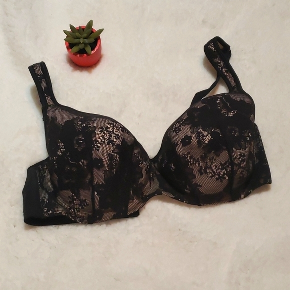 Cacique Other - Cacique Bra Size 40D